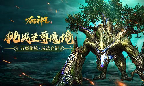 万词王