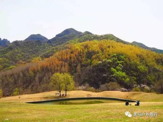 指尖冲刺