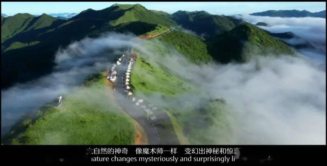 可爱小小警察