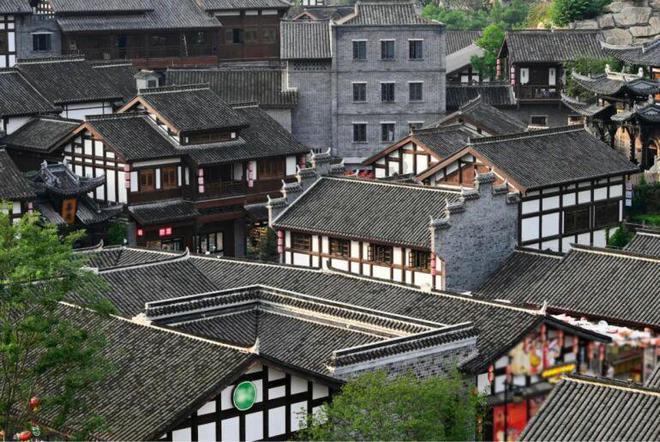 动物帮帮忙保卫家园