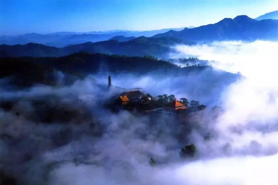 救援蓝色小兔